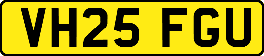 VH25FGU