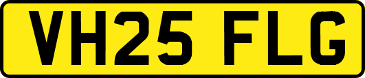 VH25FLG