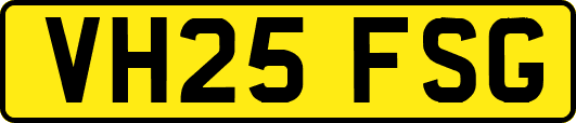 VH25FSG