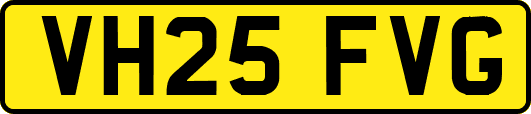 VH25FVG