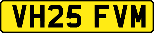 VH25FVM