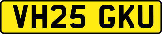 VH25GKU