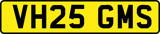 VH25GMS