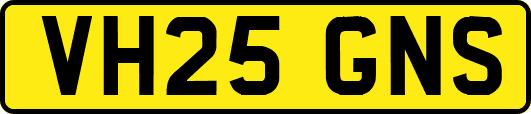 VH25GNS