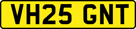 VH25GNT