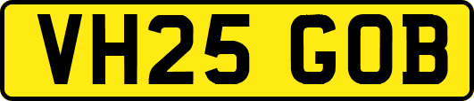 VH25GOB