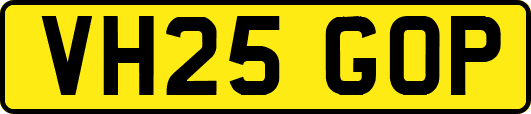 VH25GOP
