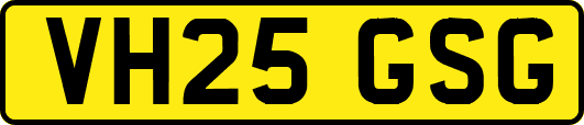 VH25GSG