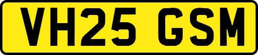 VH25GSM