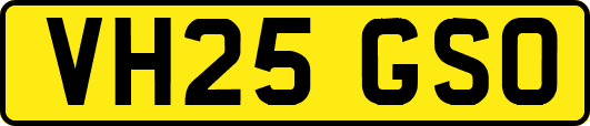 VH25GSO