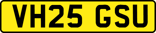 VH25GSU