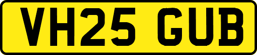 VH25GUB