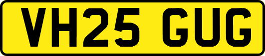 VH25GUG
