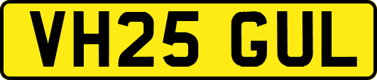 VH25GUL