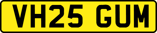 VH25GUM