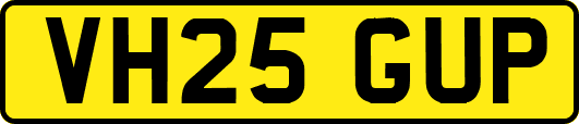 VH25GUP
