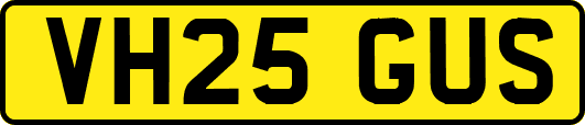 VH25GUS