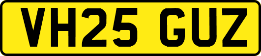 VH25GUZ