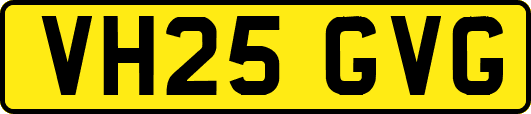 VH25GVG