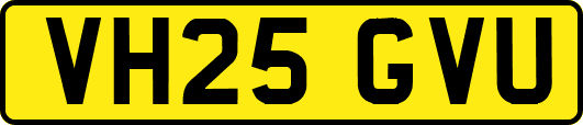 VH25GVU
