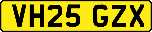 VH25GZX