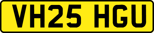 VH25HGU