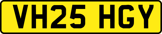 VH25HGY