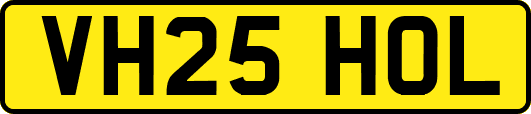 VH25HOL