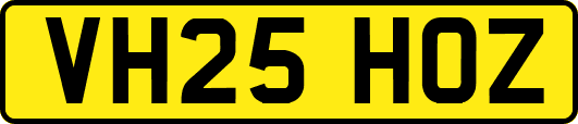 VH25HOZ