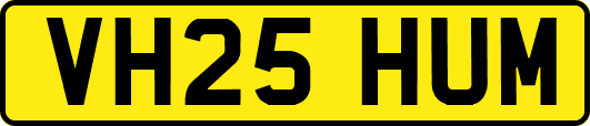 VH25HUM
