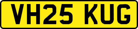 VH25KUG