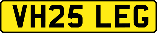 VH25LEG