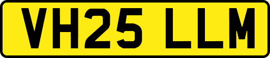 VH25LLM