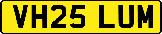 VH25LUM