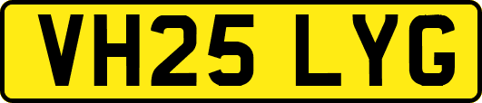 VH25LYG