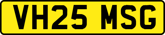 VH25MSG
