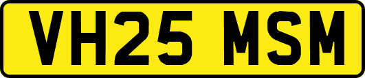 VH25MSM