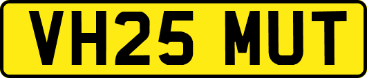 VH25MUT