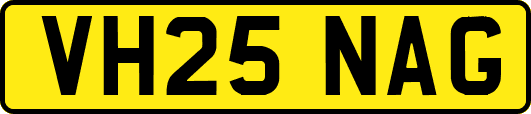 VH25NAG