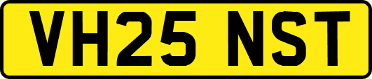 VH25NST
