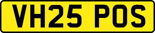 VH25POS