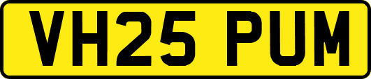 VH25PUM