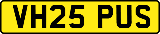 VH25PUS