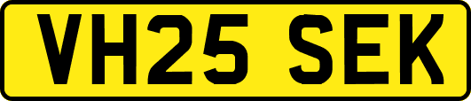 VH25SEK