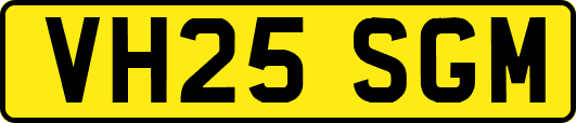 VH25SGM