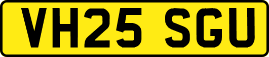 VH25SGU