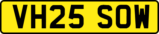VH25SOW
