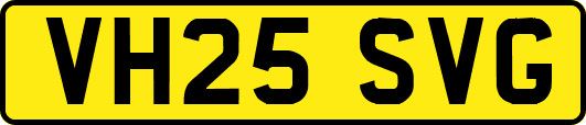 VH25SVG