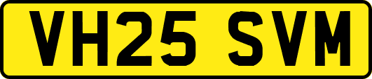VH25SVM