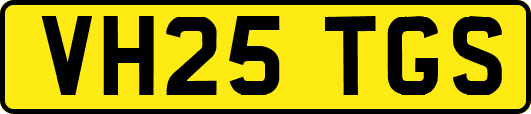 VH25TGS